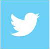 Icon Twitter